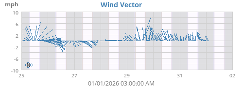 Wind Vector