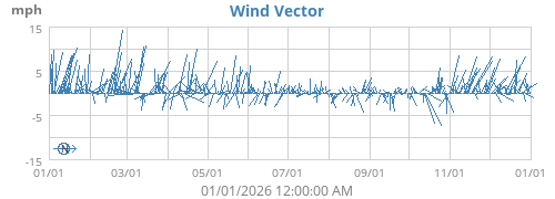 Wind Vector